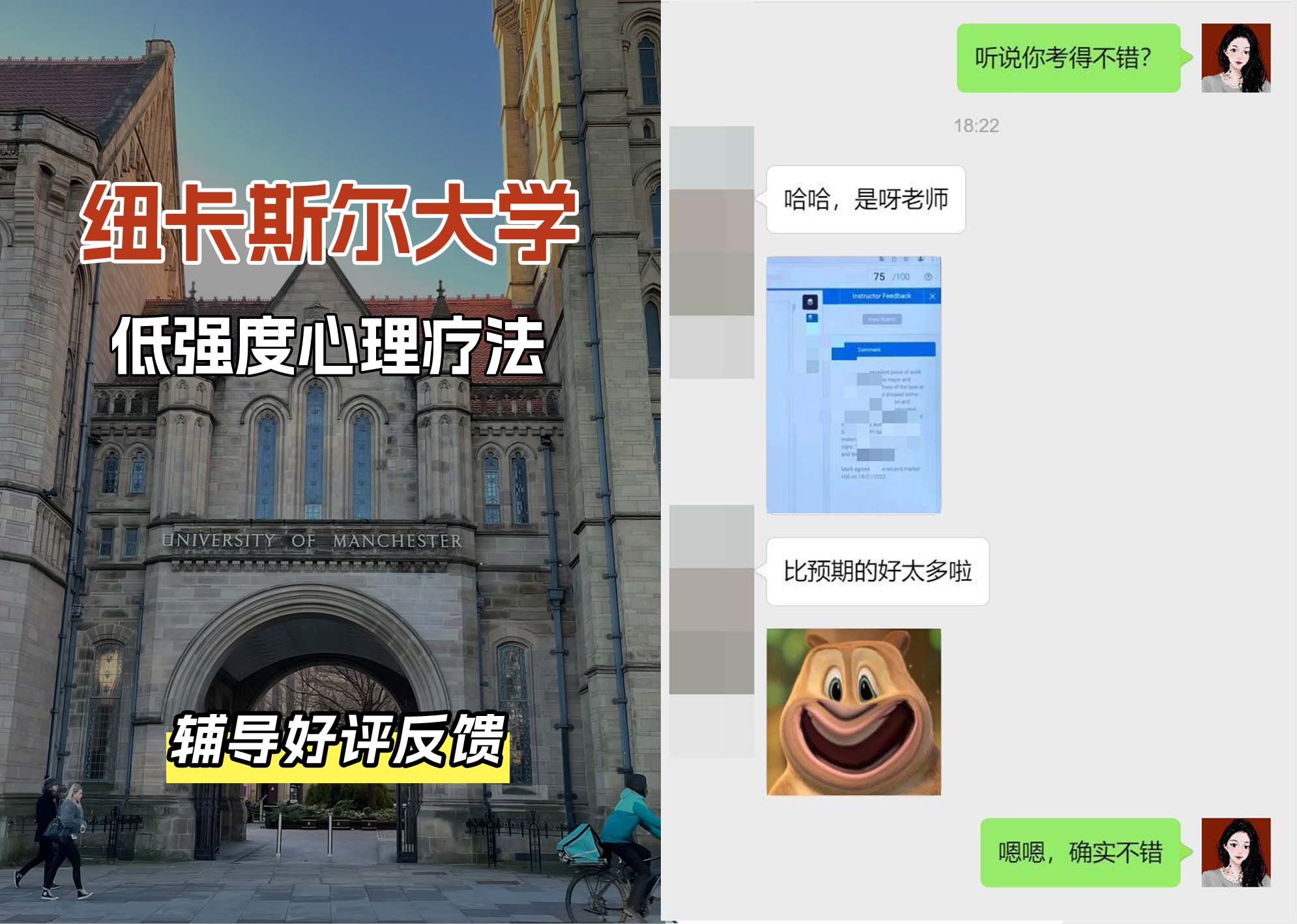 纽卡斯尔大学纽大低强度心理疗法研究辅导好评反馈