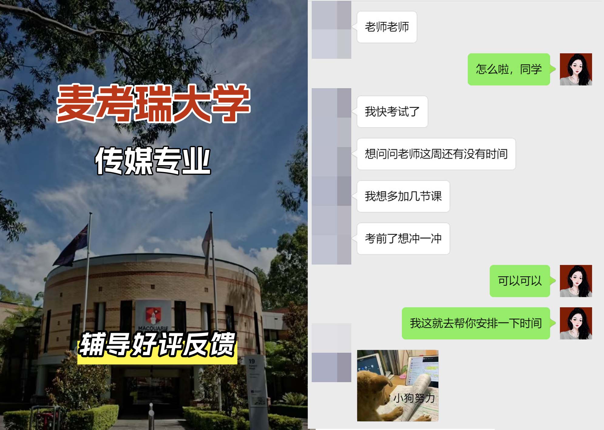 麦考瑞大学MQU传媒专业辅导好评反馈