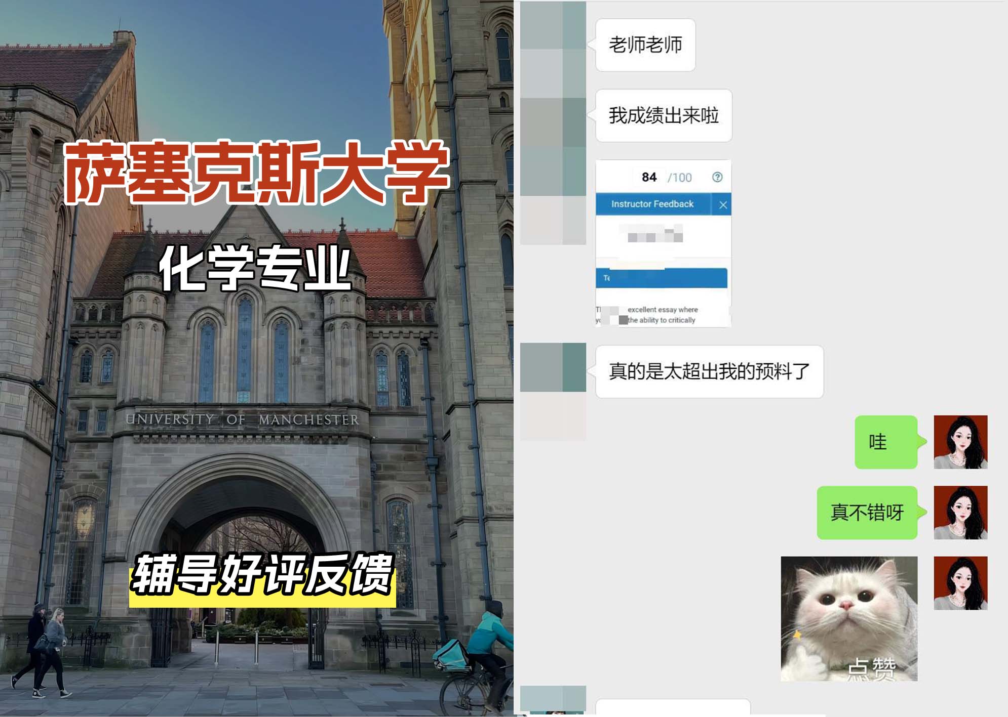 Sussex萨塞克斯大学化学专业辅导好评反馈