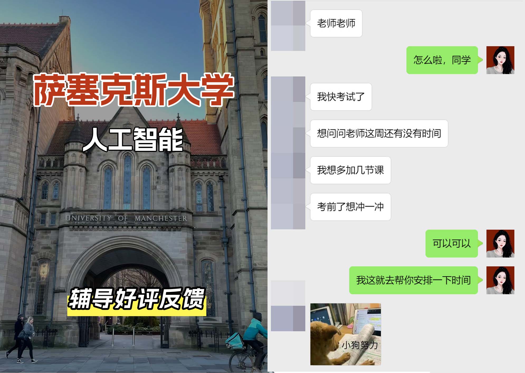 Sussex萨塞克斯大学人工智能辅导好评反馈