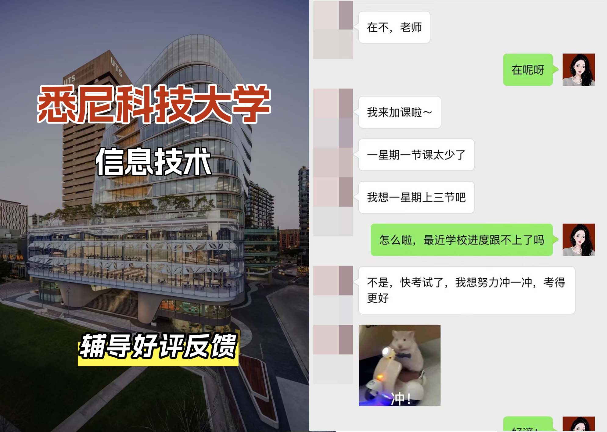 悉尼科技大学UTS信息技术辅导好评反馈