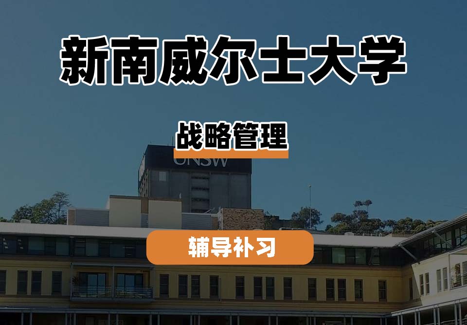 新南威尔士大学UNSW战略管理辅导补习补课
