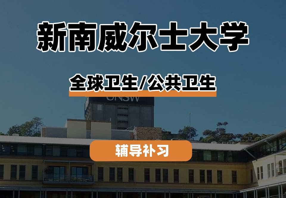 新南威尔士大学UNSW全球卫生/公共卫生辅导补习补课