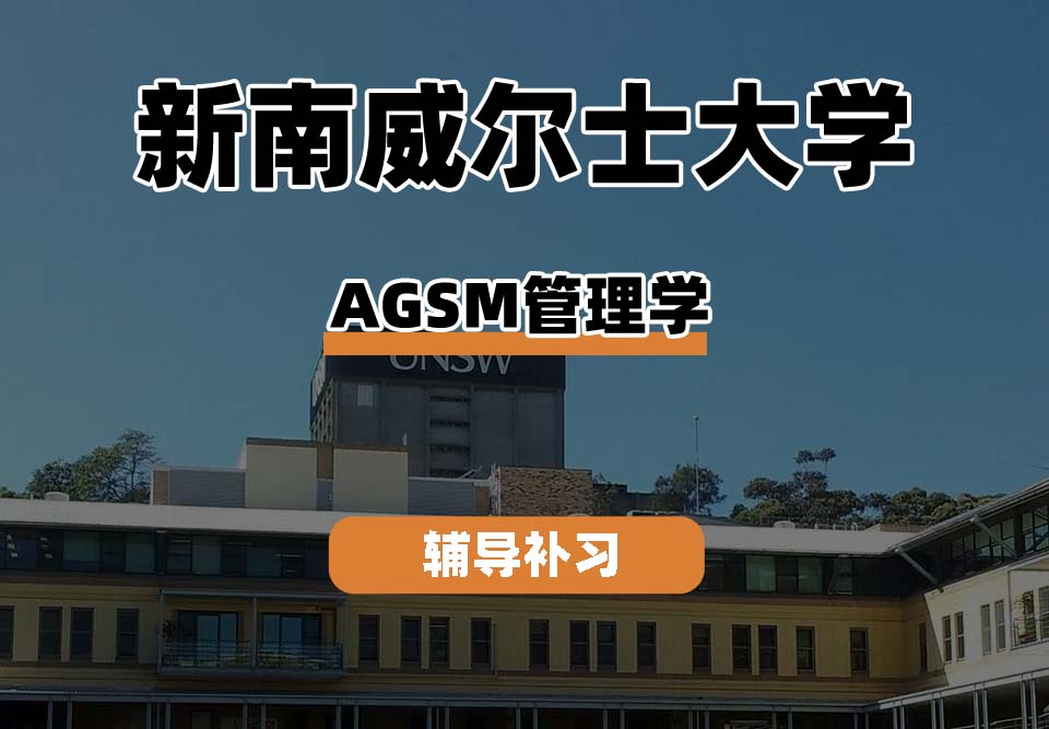 新南威尔士大学UNSWAGSM管理学辅导补习补课