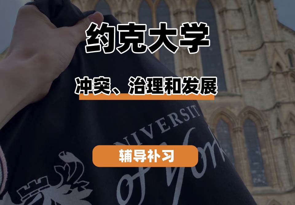 约克大学UOY冲突、治理和发展辅导补习补课
