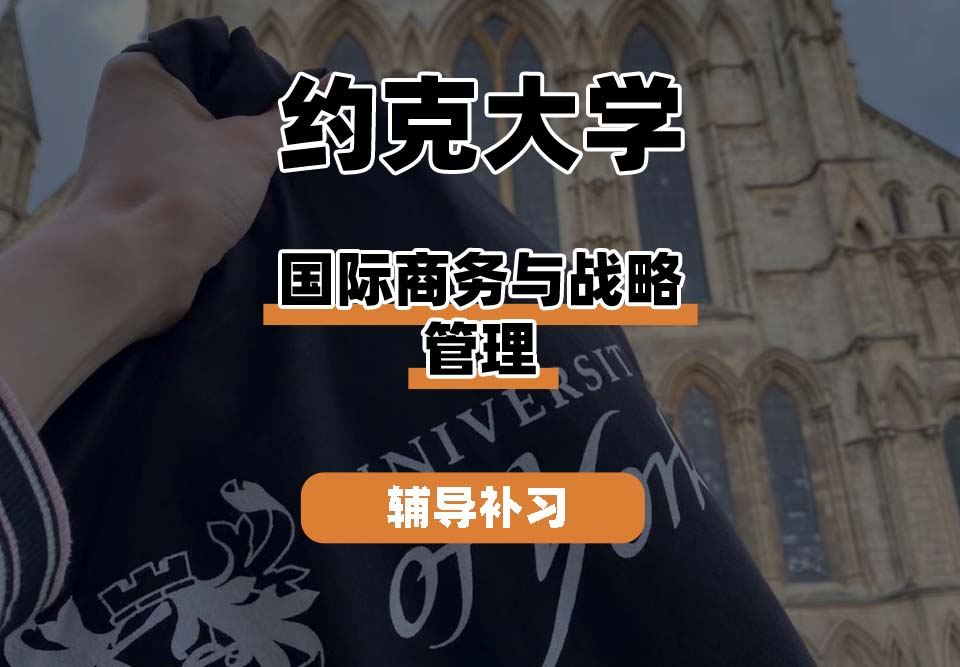 约克大学UOY国际商务与战略管理辅导补习补课