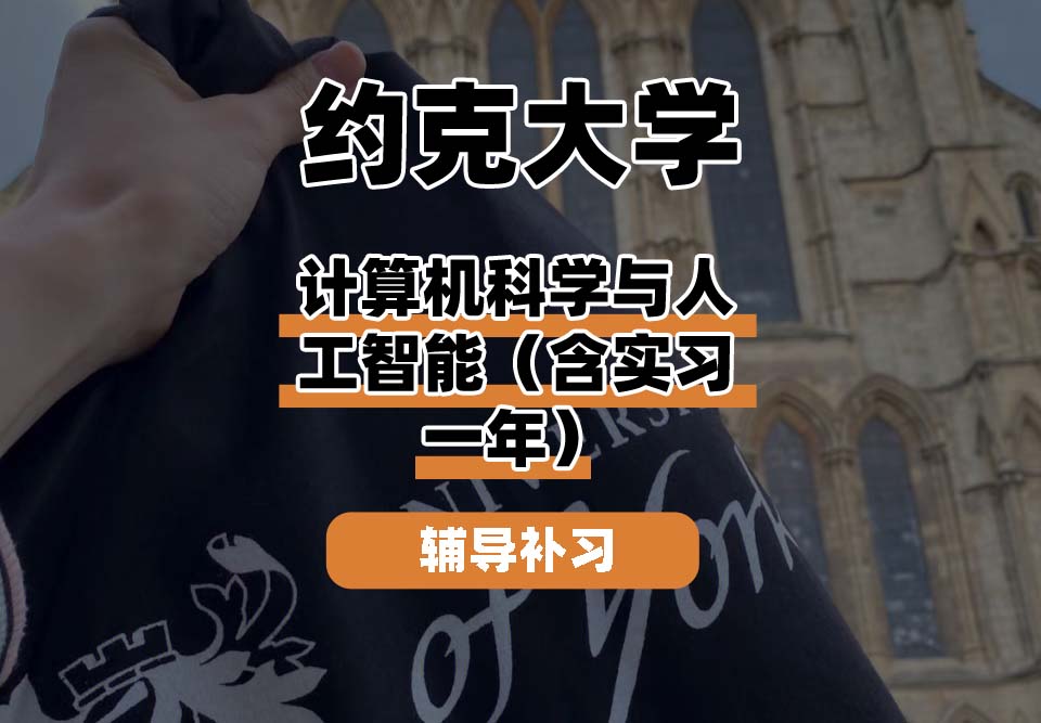 约克大学UOY计算机科学与人工智能(含实习一年)辅导补习补课