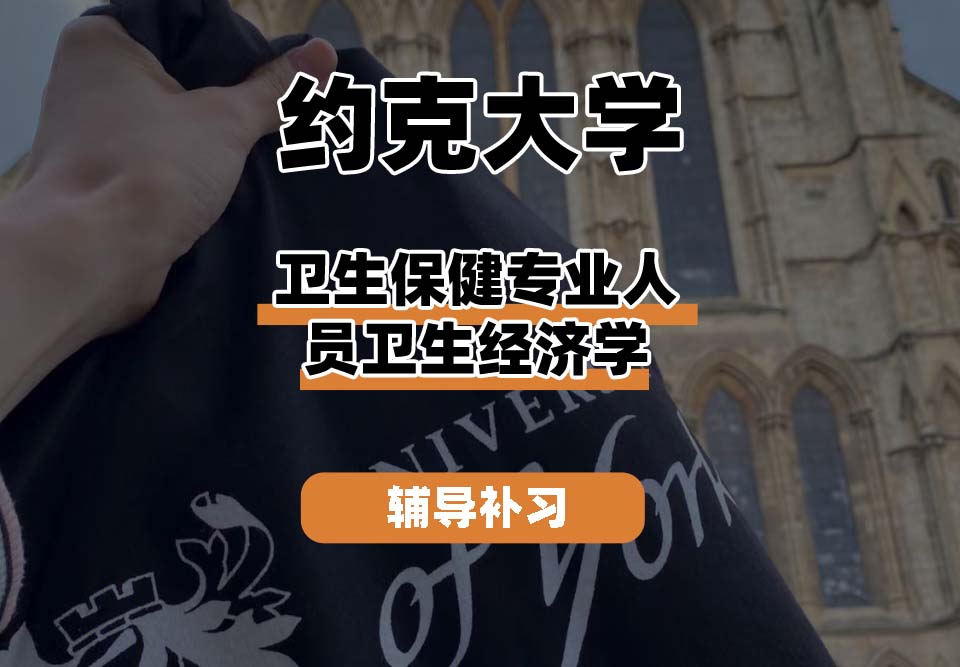 约克大学UOY卫生保健专业人员卫生经济学辅导补习补课
