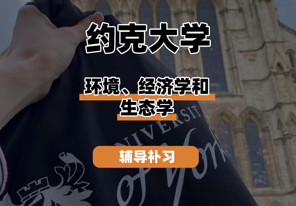 约克大学UOY环境、经济学和生态学辅导补习补课
