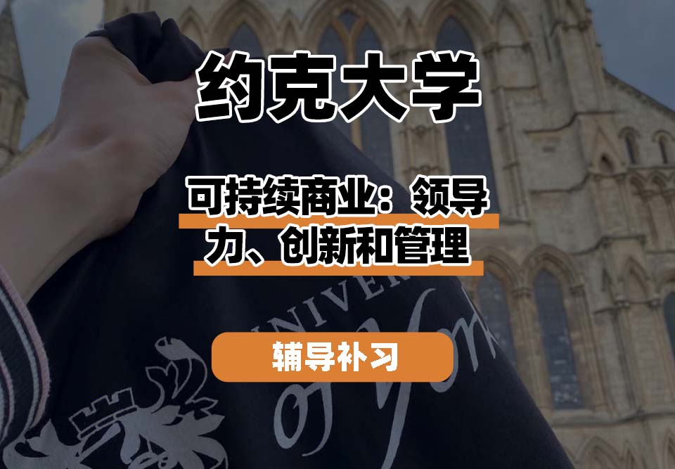 约克大学UOY可持续商业：领导力、创新和管理辅导补习补课