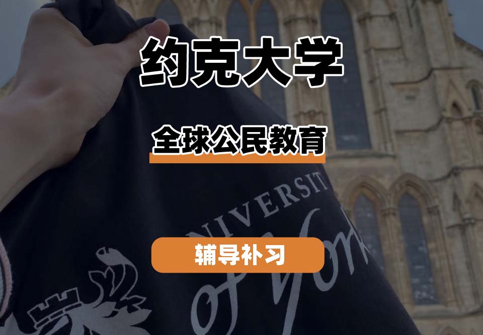 约克大学UOY全球公民教育辅导补习补课