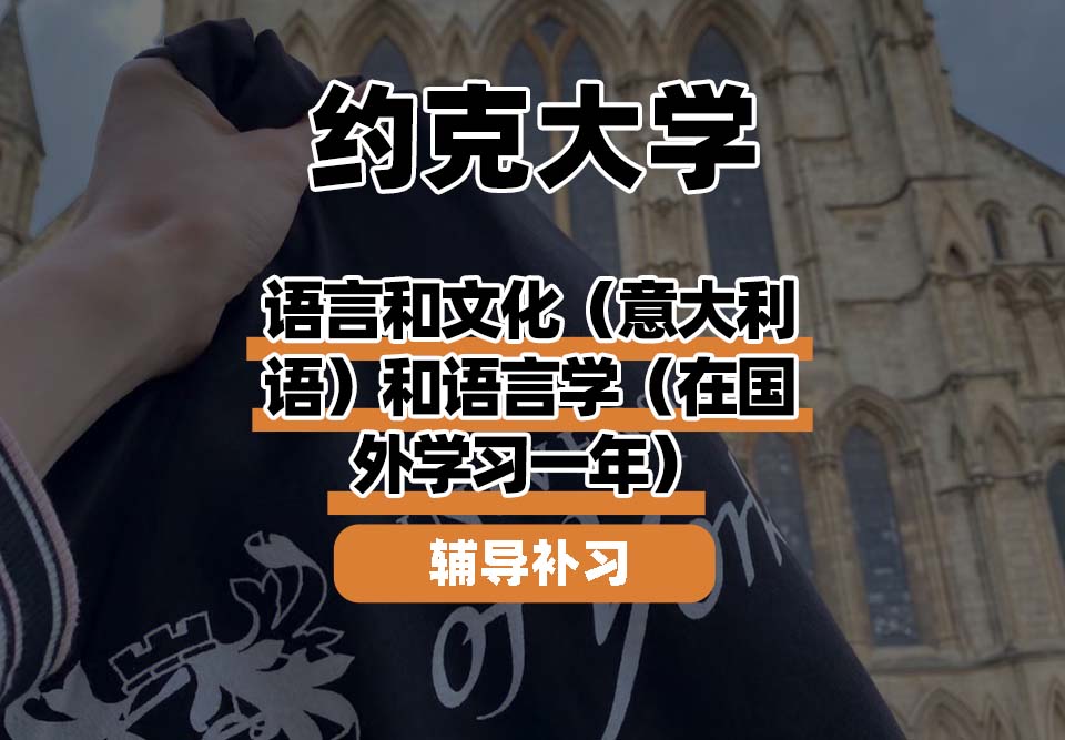 约克大学UOY语言和文化（意大利语）和语言学（在国外学习一年）辅导补习补课