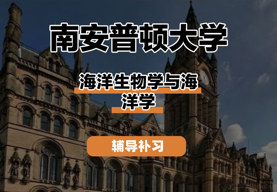 南安普顿大学Soton南安海洋生物学与海洋学辅导补习补课
