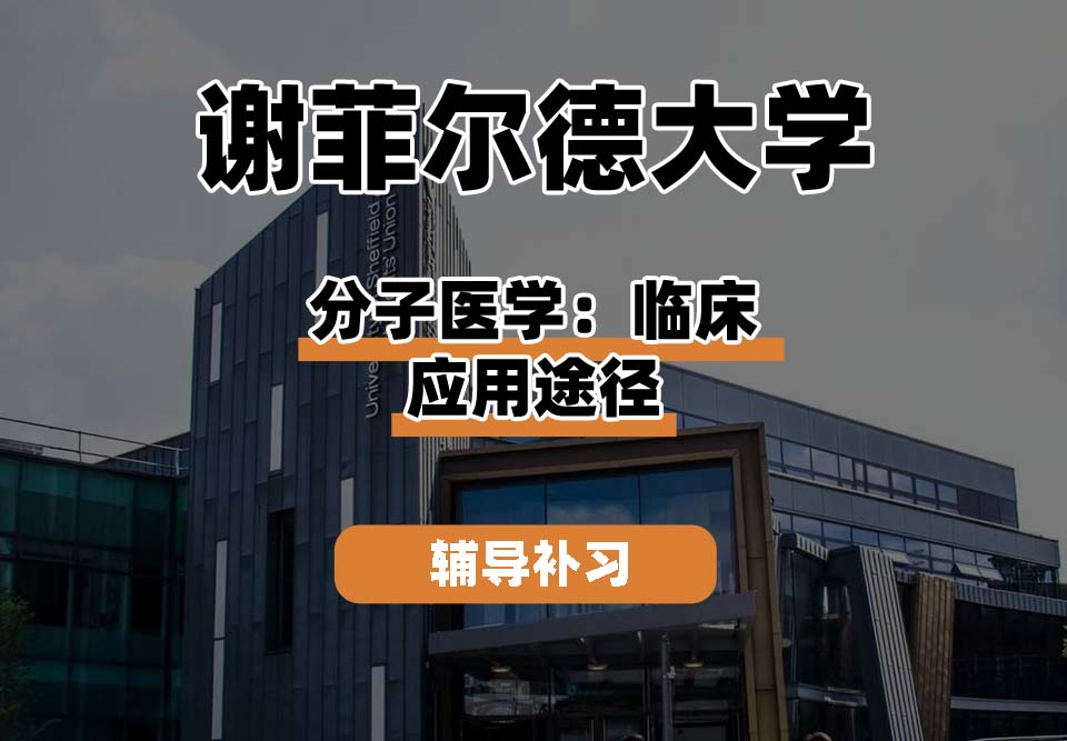 谢菲尔德大学TUoS谢大分子医学：临床应用途径辅导补习补课