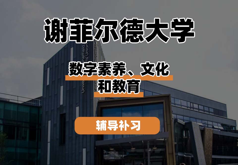 谢菲尔德大学TUoS谢大数字素养、文化和教育辅导补习补课