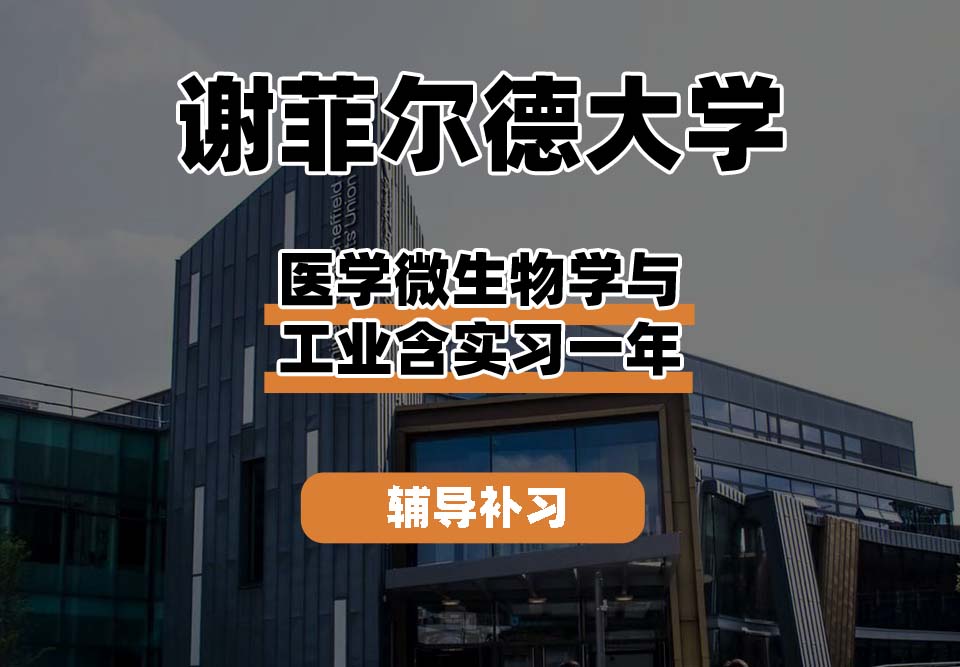 谢菲尔德大学TUoS谢大医学微生物学与工业含实习一年辅导补习补课