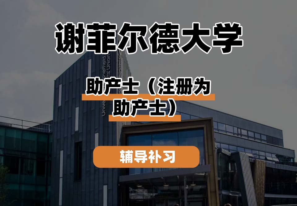 谢菲尔德大学TUoS谢大助产士(注册为助产士)辅导补习补课
