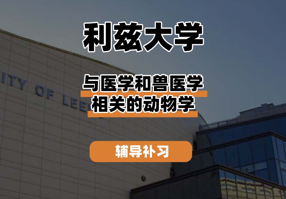 利兹大学leeds与医学和兽医学相关的动物学辅导补习补课