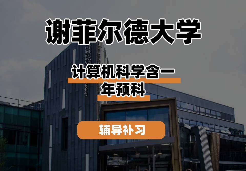 谢菲尔德大学TUoS谢大计算机含一年实习辅导补习补课