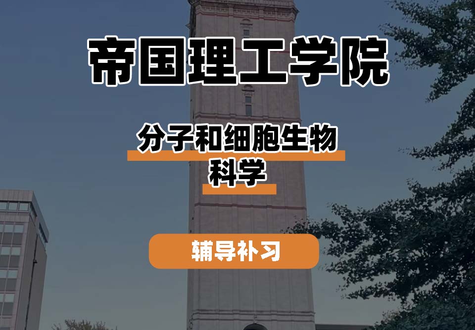 帝国理工学院IC帝国理工分子和细胞生物科学辅导补习补课