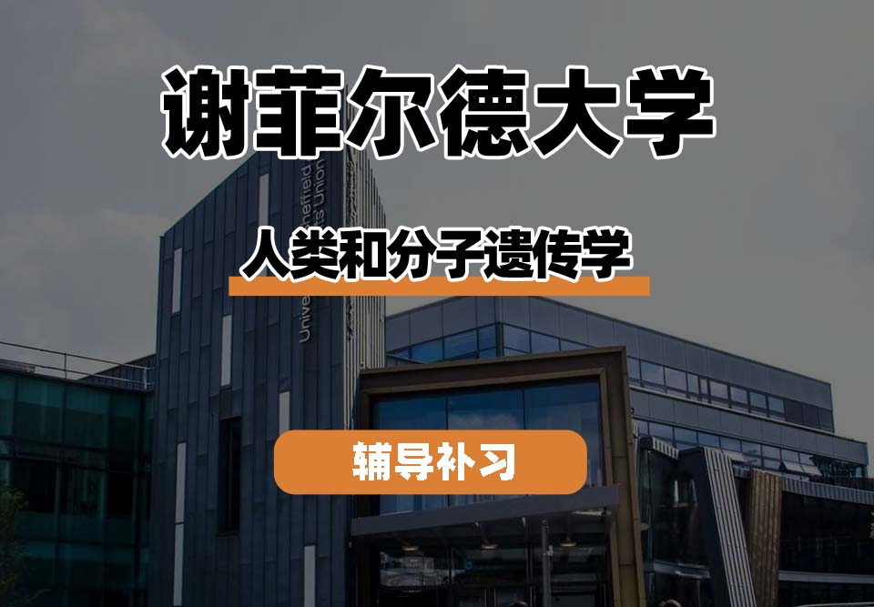 谢菲尔德大学TUoS谢大人类和分子遗传学辅导补习补课