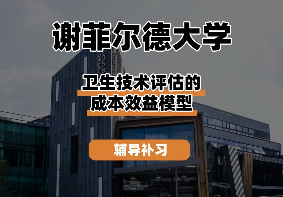 谢菲尔德大学TUoS谢大卫生技术评估的成本效益模型辅导补习补课