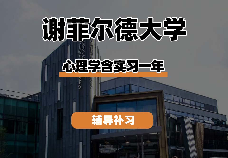 谢菲尔德大学TUoS谢大心理学含实习一年辅导补习补课