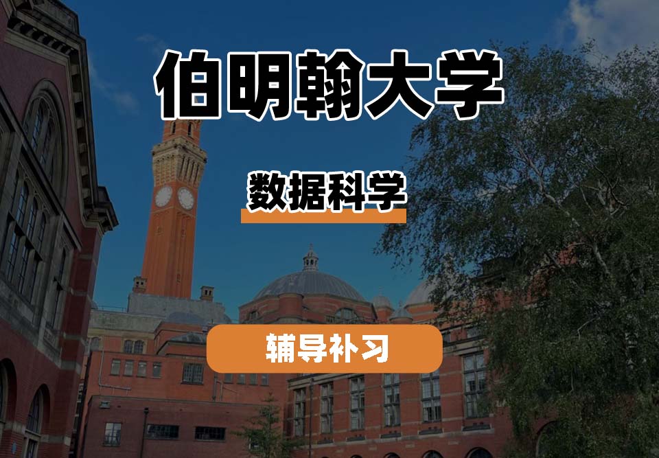 伯明翰大学UOB伯大数据科学辅导补习补课