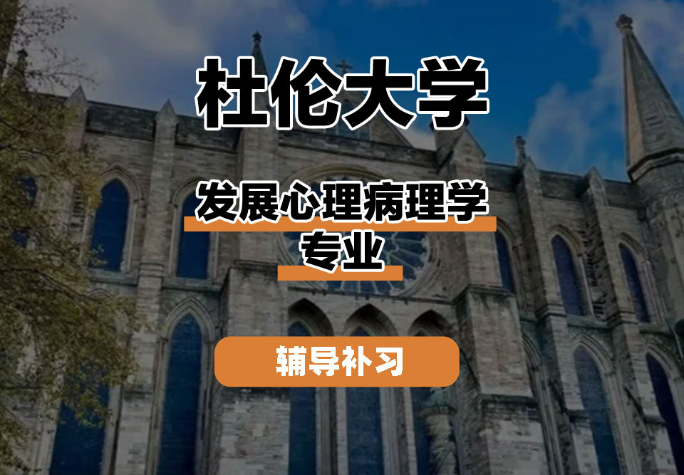 杜伦大学DUR达勒姆大学发展心理病理学辅导补习补课