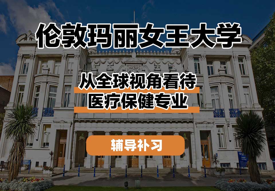 伦敦玛丽女王大学QM女王大学从全球视角看待医疗保健辅导补习补课