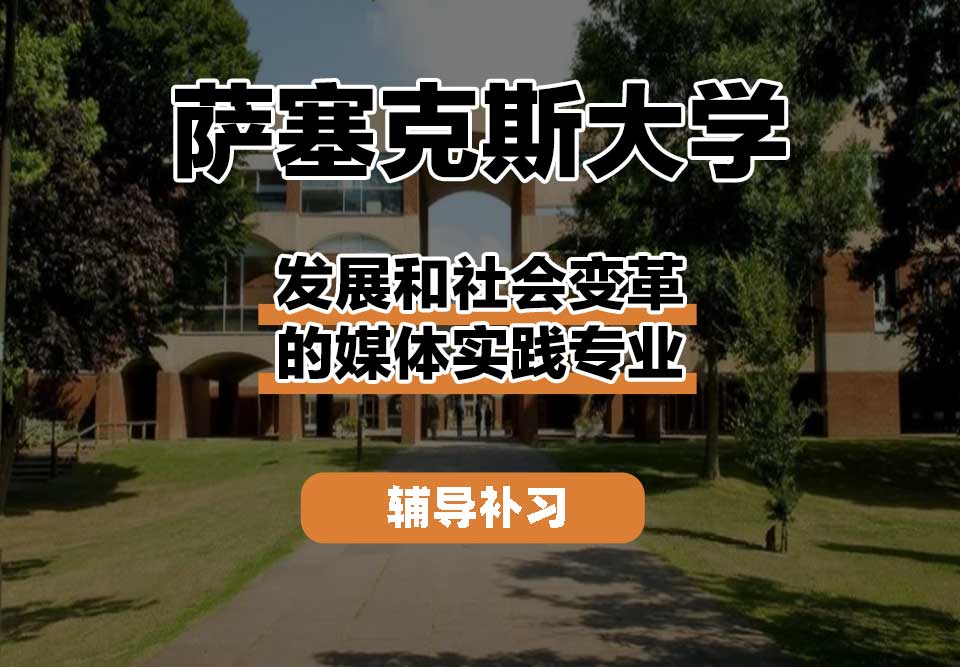 萨塞克斯大学Sussex萨大发展和社会变革的媒体实践辅导补习补课