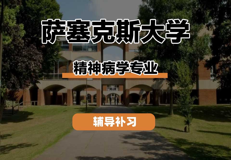 萨塞克斯大学Sussex萨大精神病学辅导补习补课
