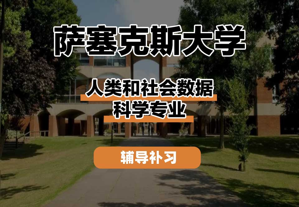 萨塞克斯大学Sussex萨大人类和社会数据科学辅导补习补课