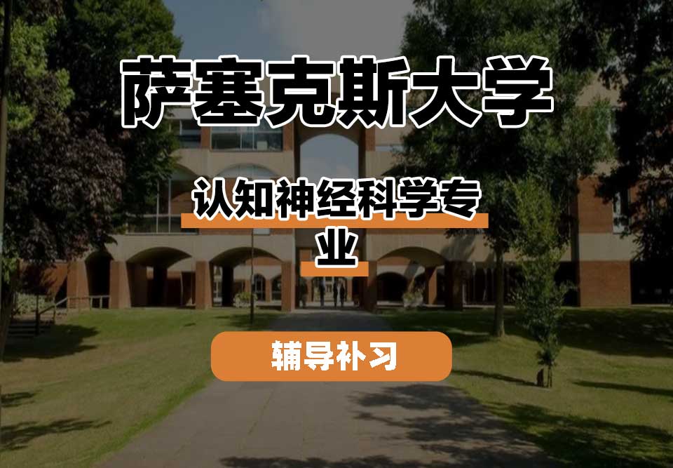 萨塞克斯大学Sussex萨大认知神经科学辅导补习补课