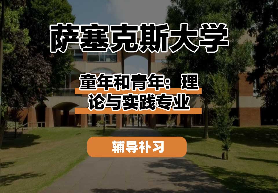 萨塞克斯大学Sussex萨大童年和青年：理论与实践辅导补习补课