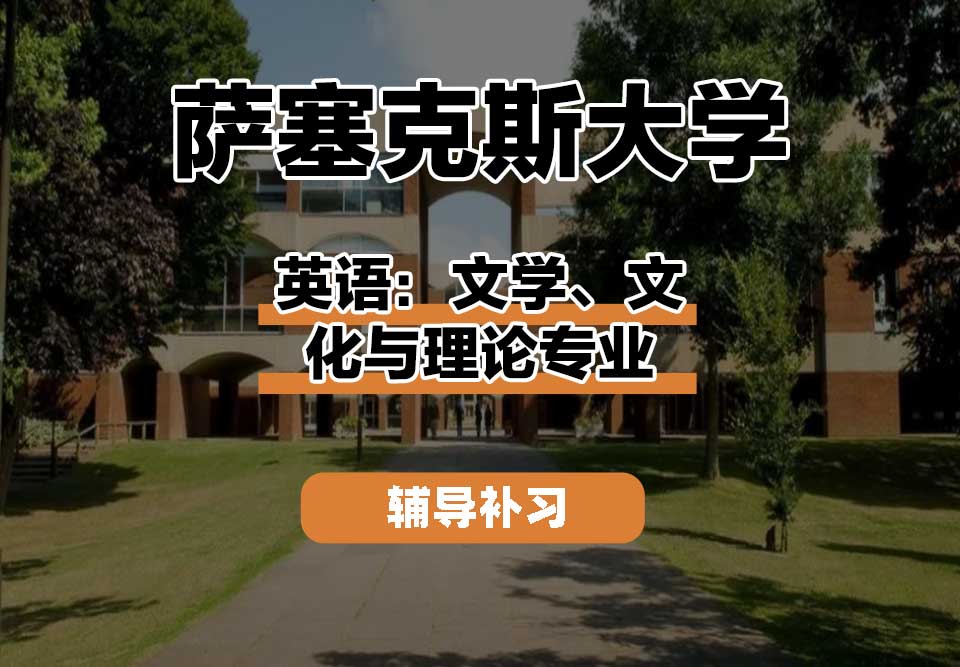 萨塞克斯大学Sussex萨大英语：文学、文化与理论辅导补习补课