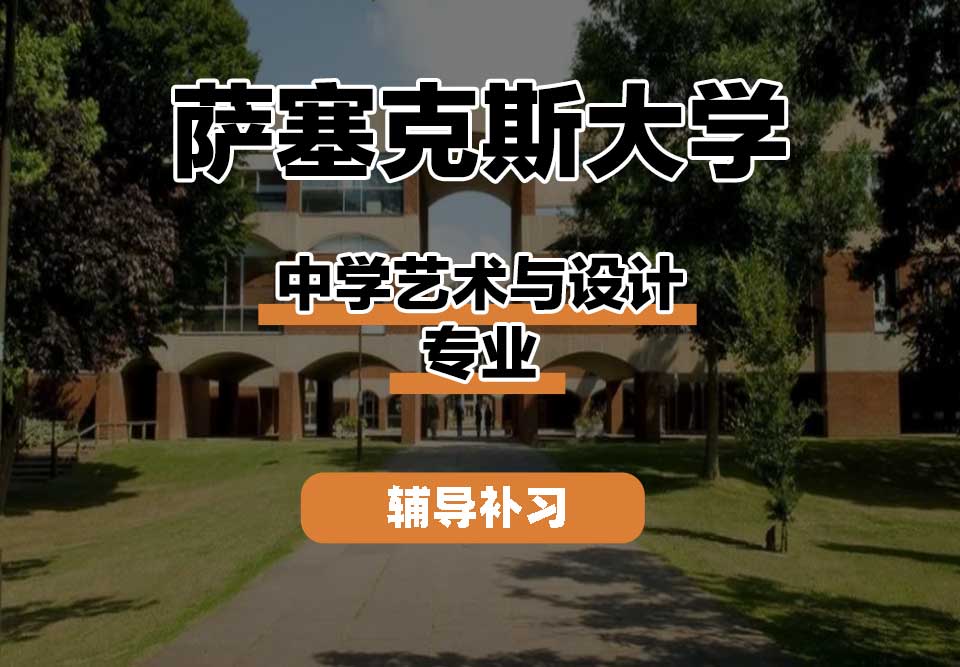 萨塞克斯大学Sussex萨大中学艺术与设计辅导补习补课