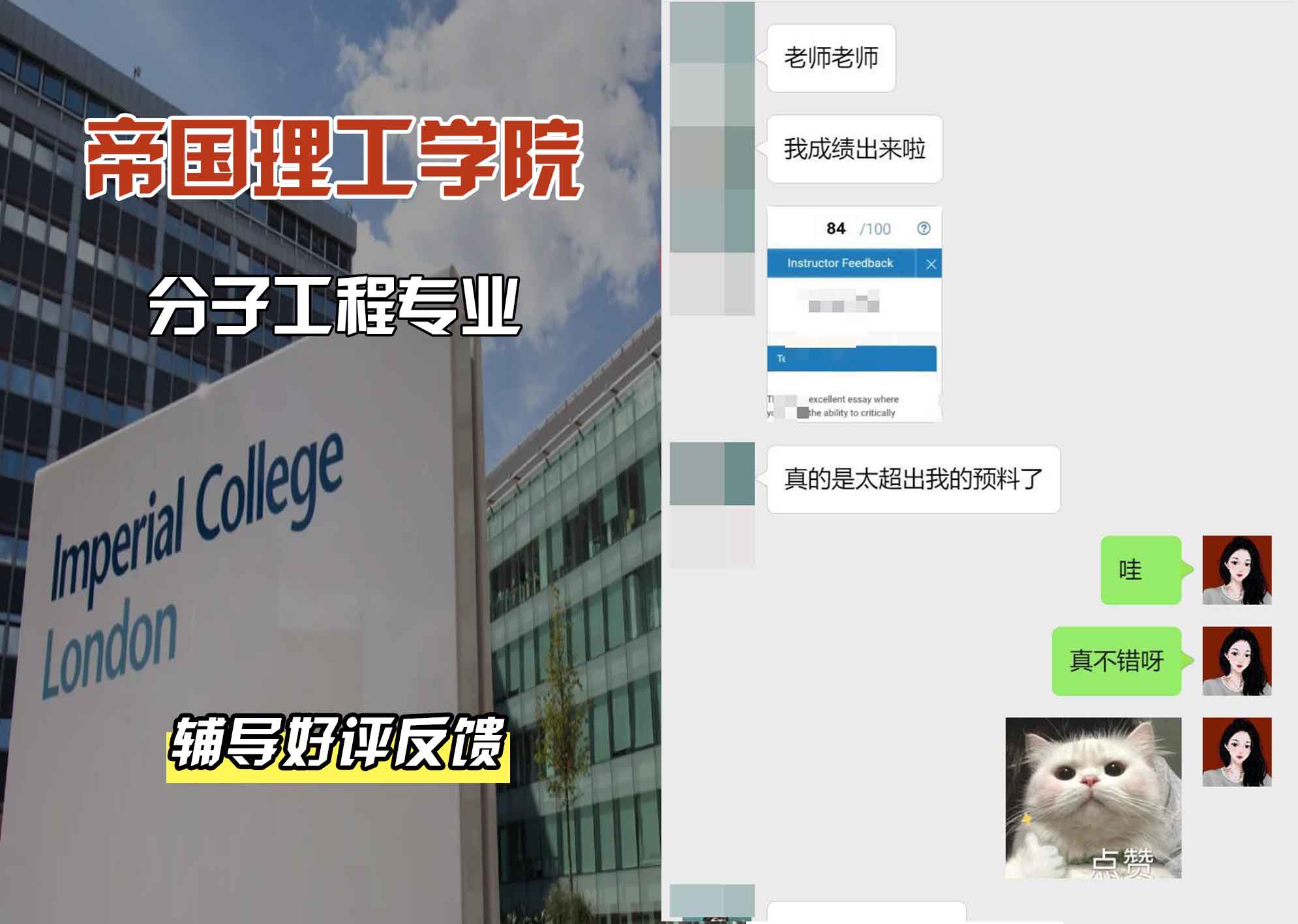帝国理工IC分子工程辅导好评反馈