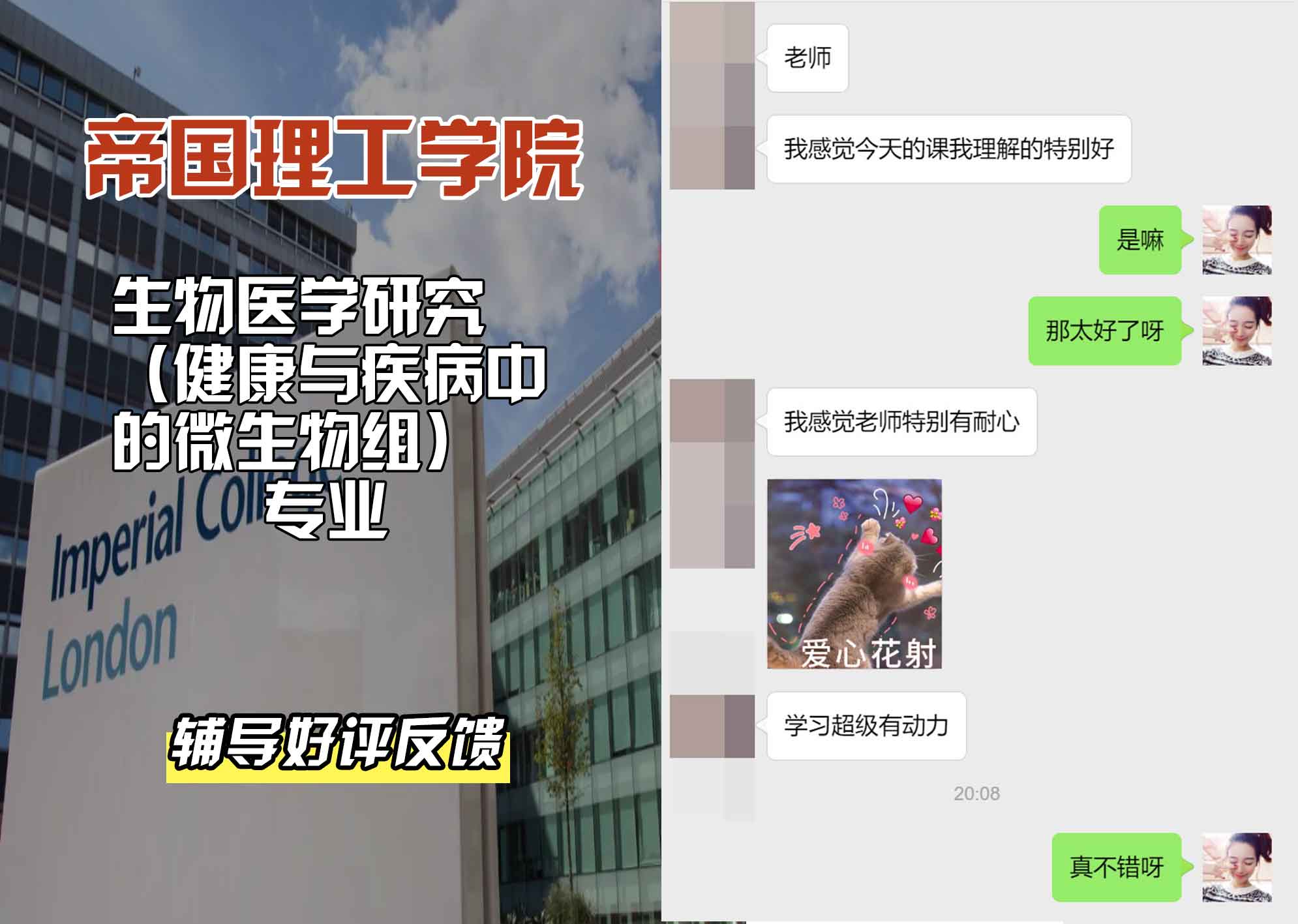 帝国理工IC生物医学研究（健康与疾病中的微生物组）辅导好评反馈