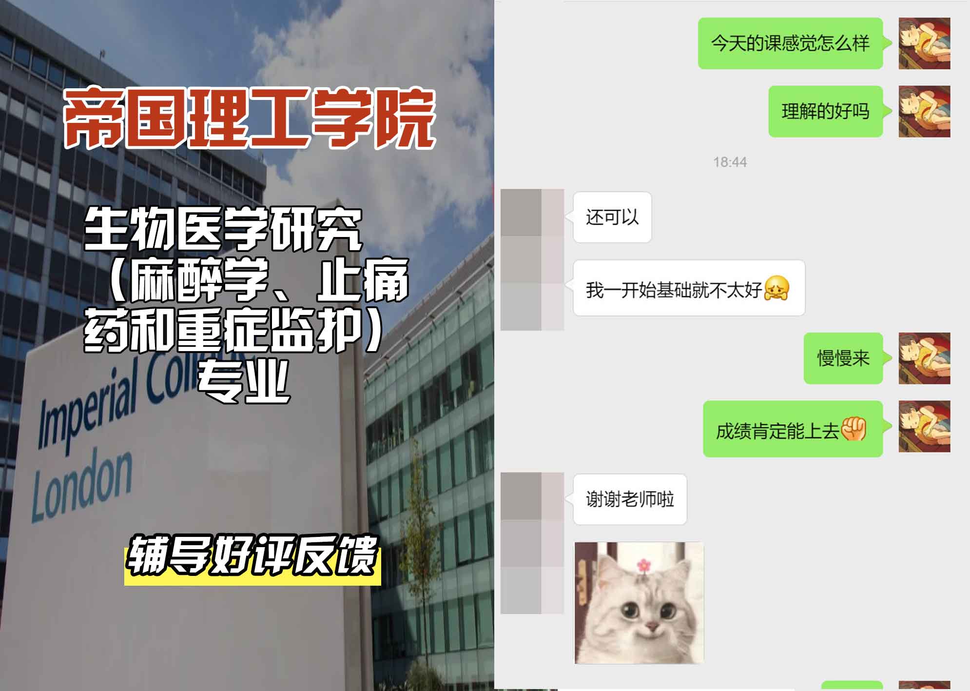 帝国理工IC生物医学研究（麻醉学、止痛药和重症监护）辅导好评反馈