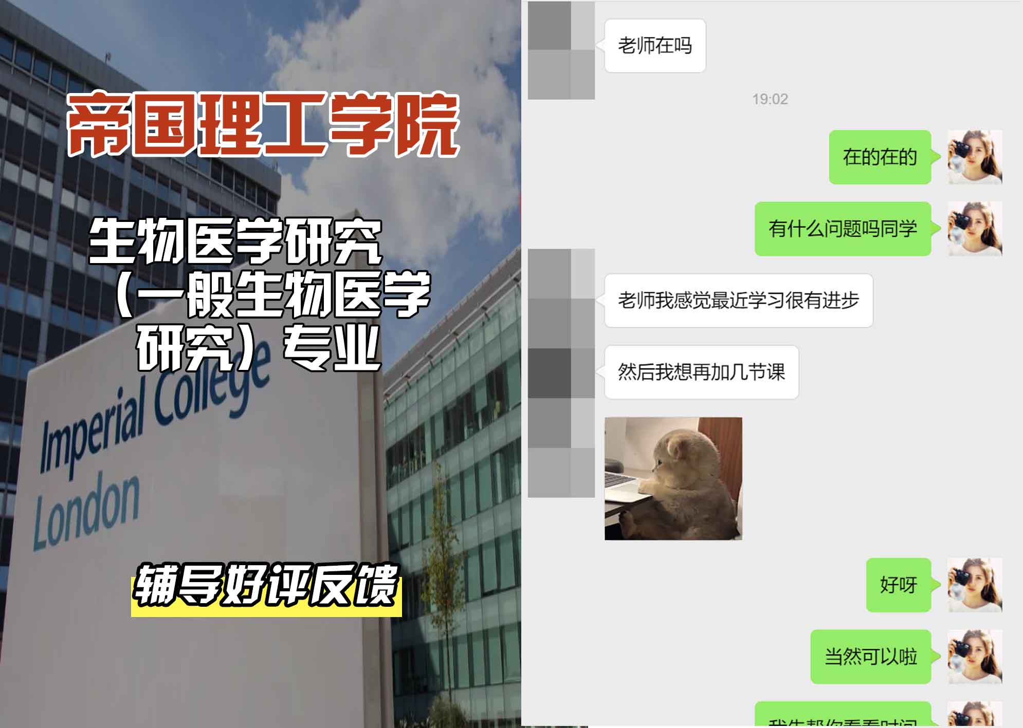 帝国理工IC生物医学研究（一般生物医学研究）辅导好评反馈