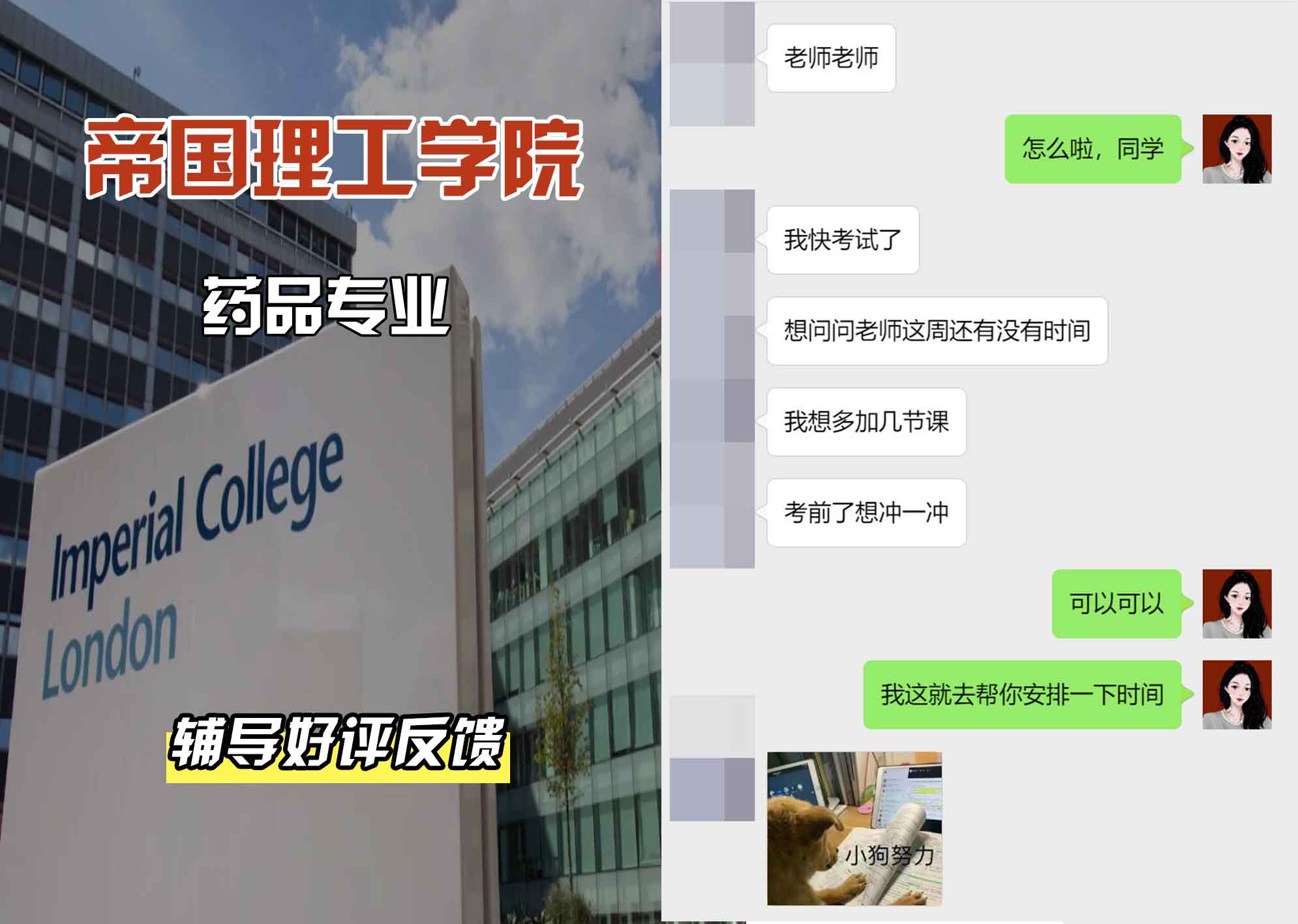帝国理工IC药品辅导好评反馈