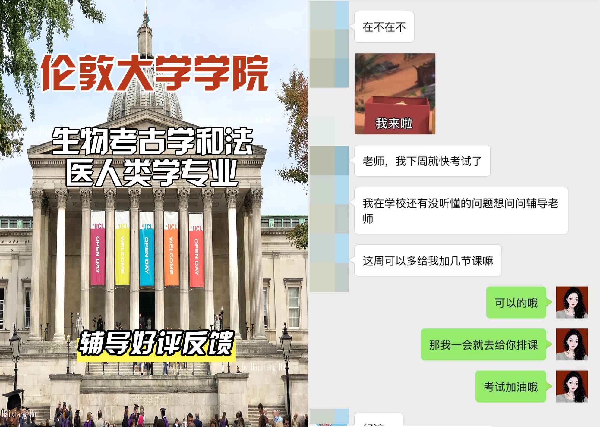 伦敦大学学院UCL生物考古学和法医人类学辅导好评反馈