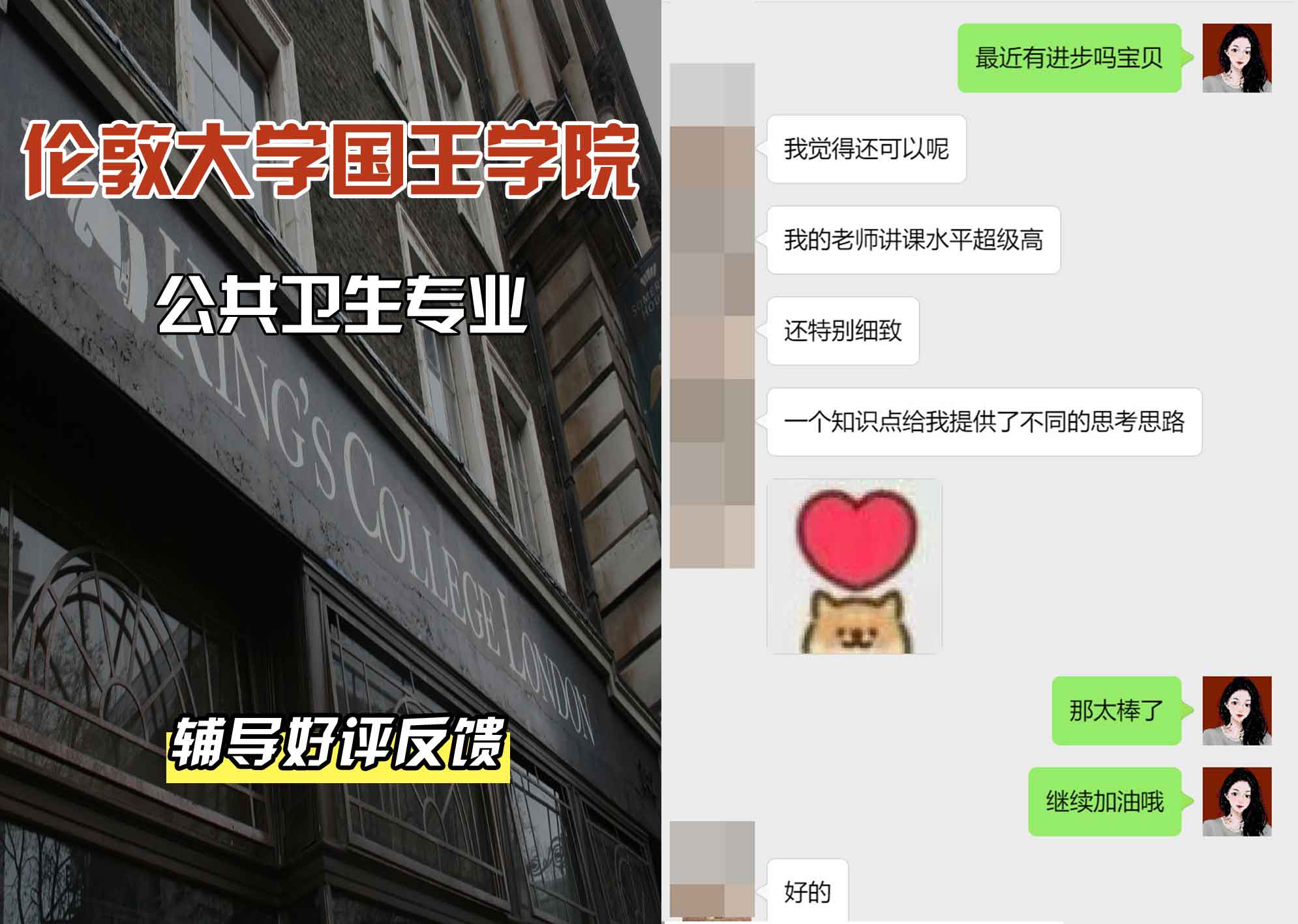 国王学院KCL公共卫生辅导好评反馈