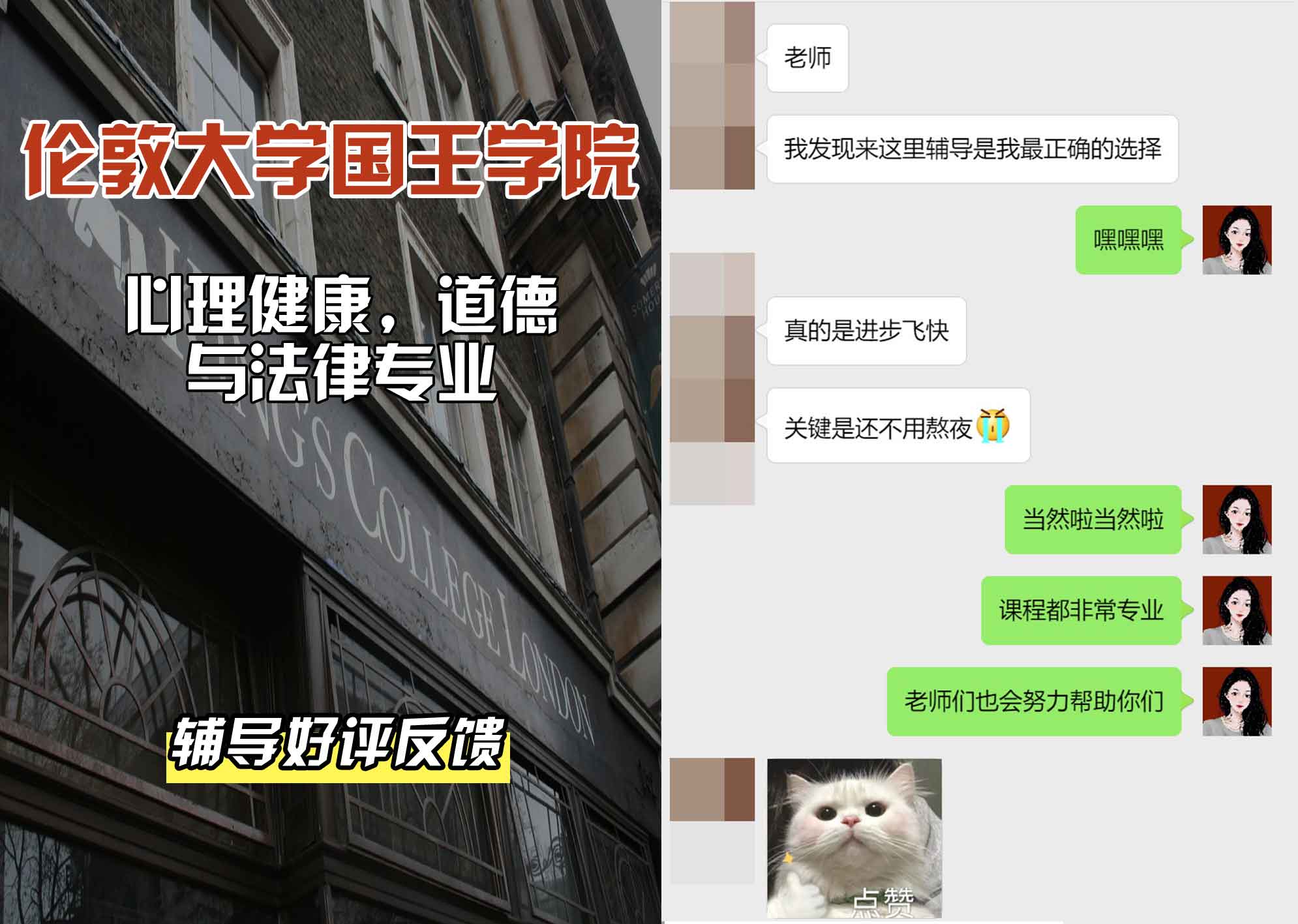 国王学院KCL心理健康,道德与法律辅导好评反馈