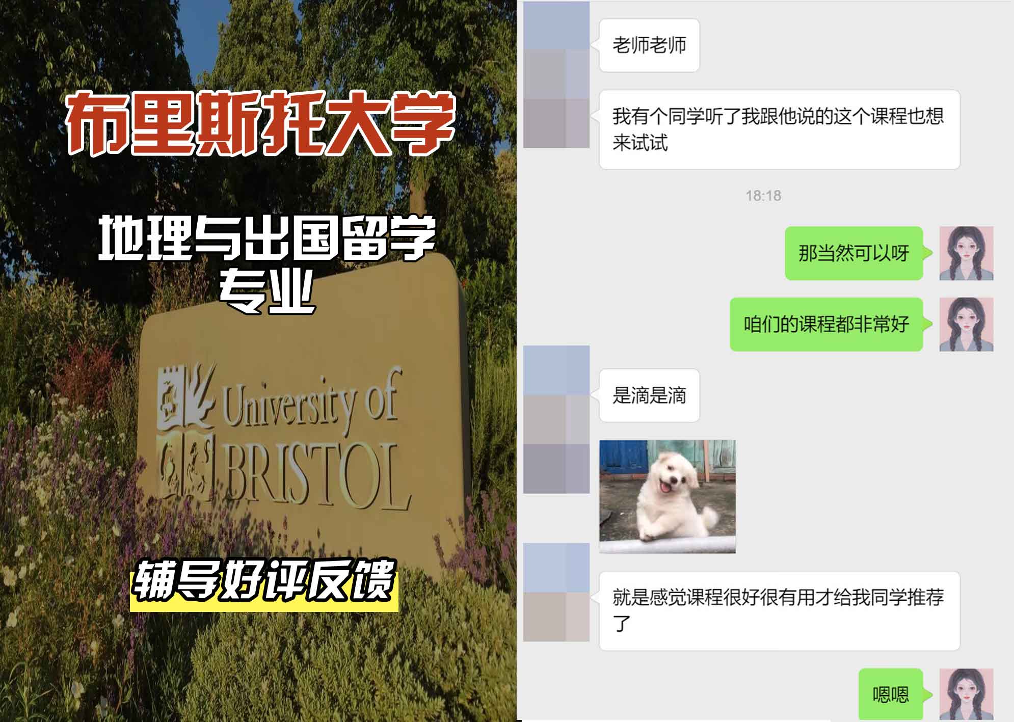 布里斯托大学布大地理与出国留学辅导好评反馈