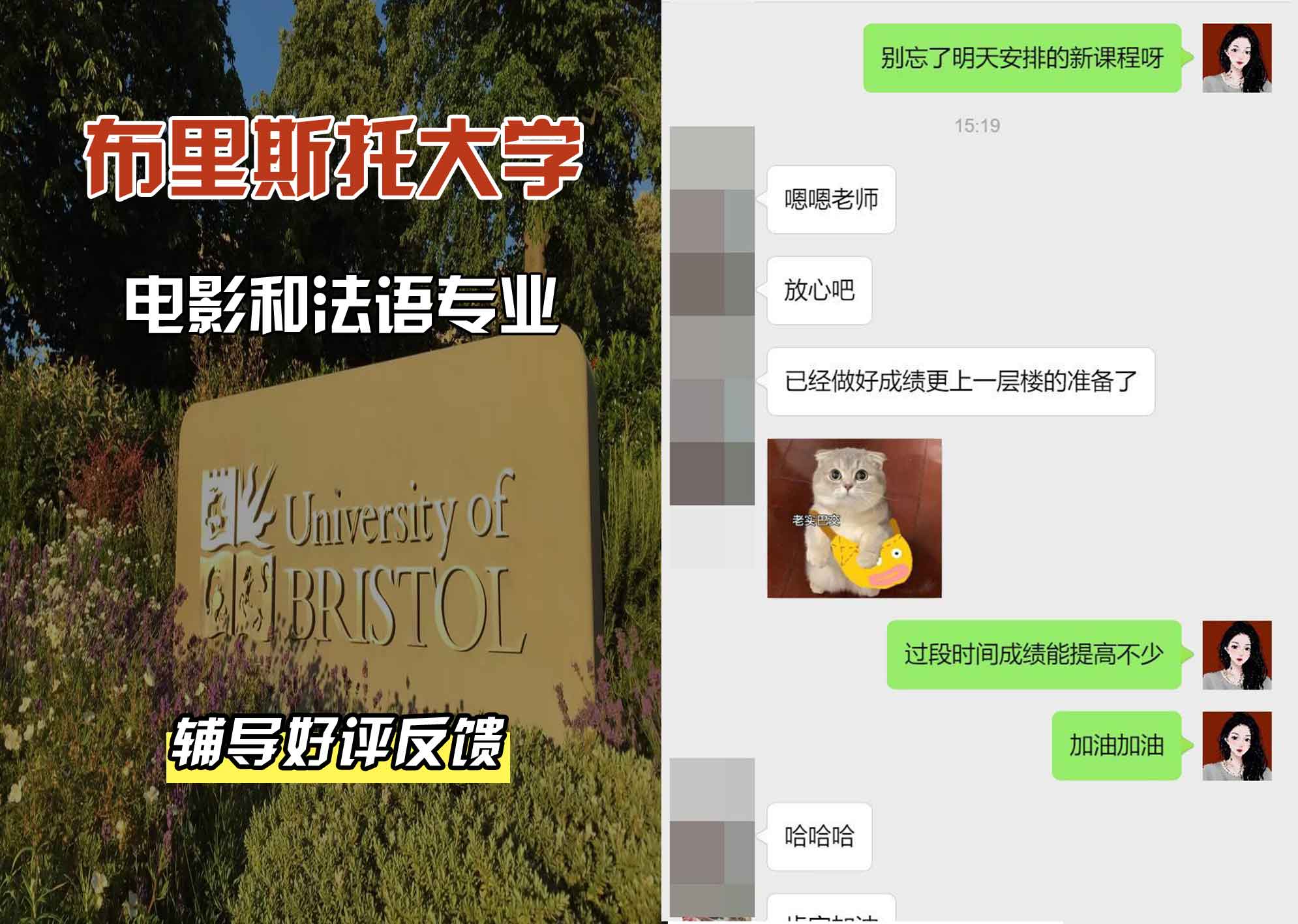 布里斯托大学布大电影和法语辅导好评反馈