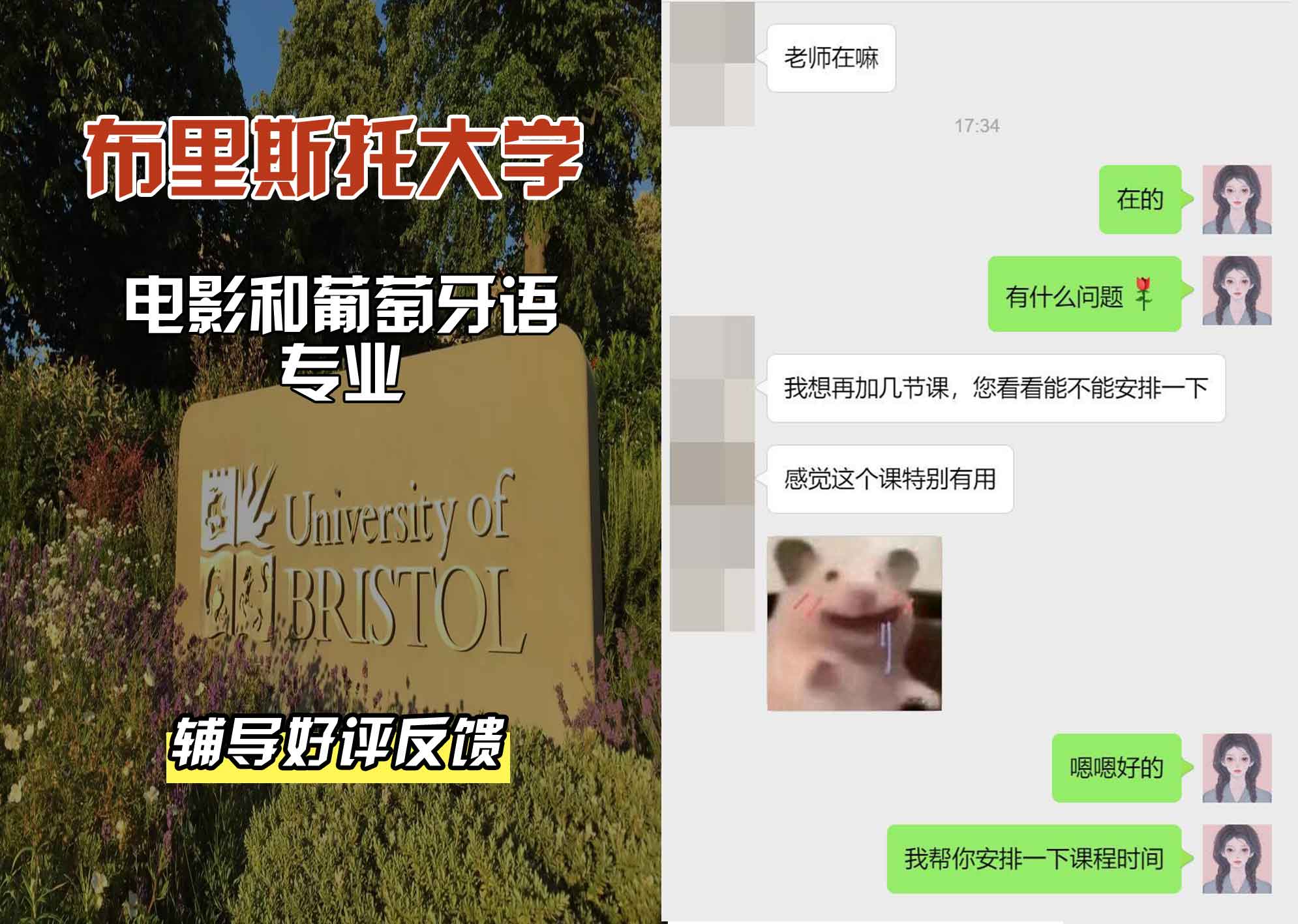 布里斯托大学布大电影和葡萄牙语辅导好评反馈