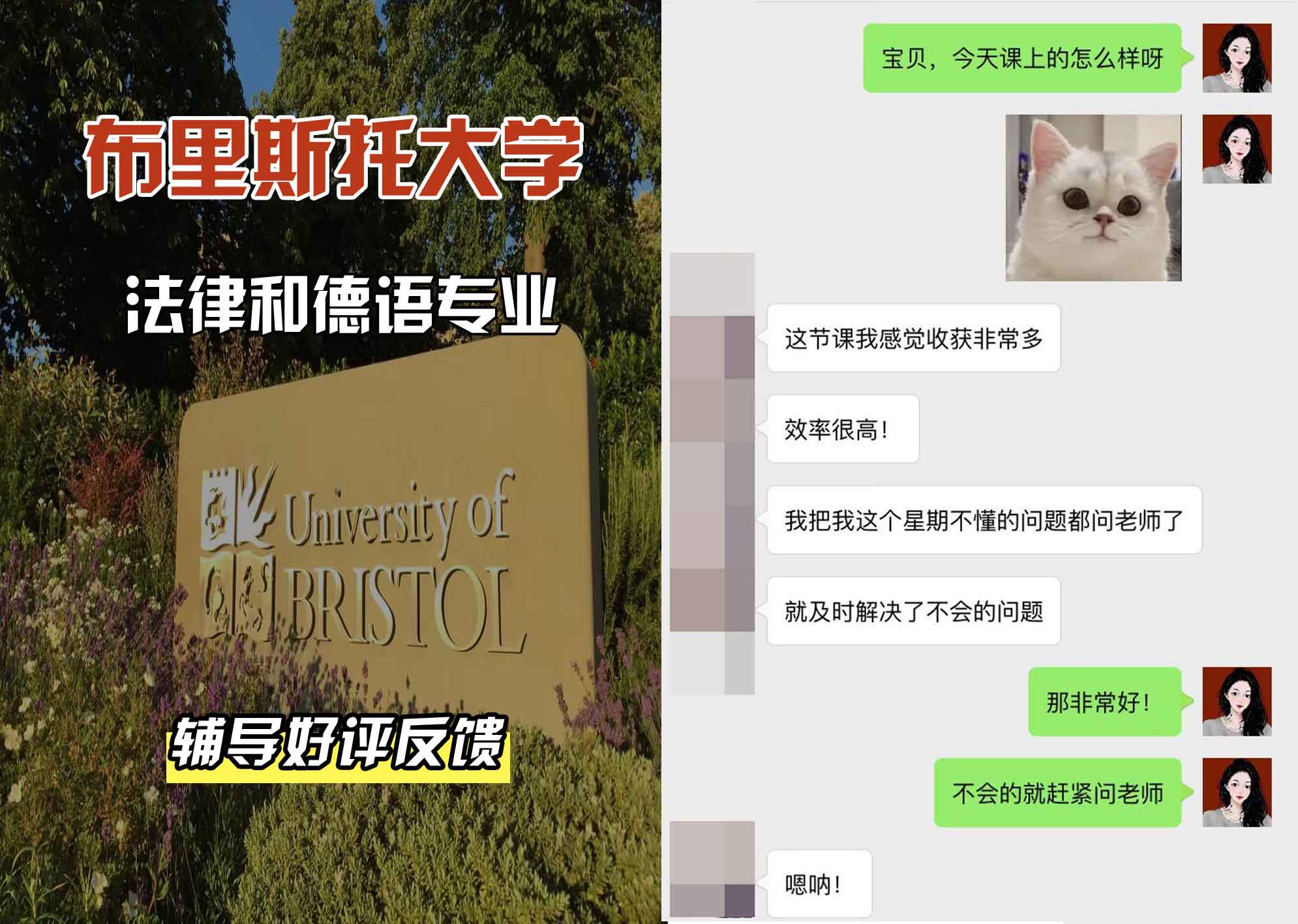 布里斯托大学布大法律和德语辅导好评反馈