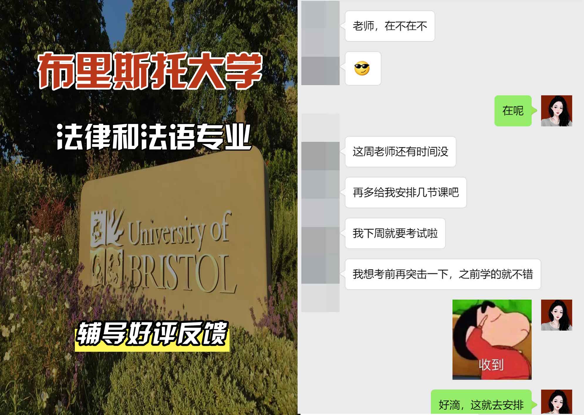 布里斯托大学布大法律和法语辅导好评反馈